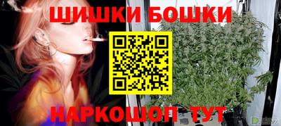 ECSTASY Гай