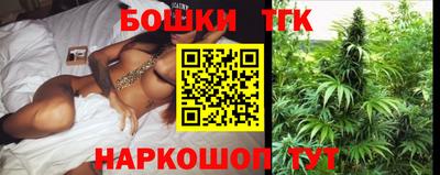 крисы Гатчина