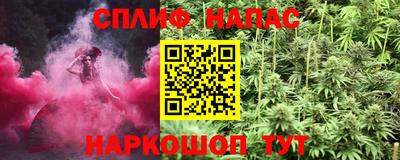 крисы Гатчина